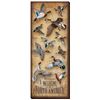 Image 1 : Waterfowl of North America Wrapped Canvas
