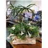 Image 1 : ARTIFICIAL POTTED PLANT