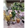Image 1 : 2 FAUX PLANTS AND 1 FAUX FRUIT TREE