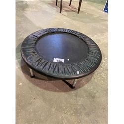 SMALL TRAMPOLINE