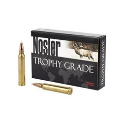 NOSLER 300WIN 180GR AB - 20 Rds