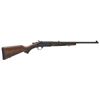 Image 1 : HENRY SINGLESHOT 243WIN 22"