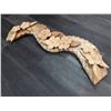 Image 1 : 198 - Fir and maple dogwood flower display -Signed Paul Bourbeau Carving