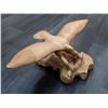 Image 1 : 204 - Yellow cedar eagle -Signed Paul Bourbeau Carving