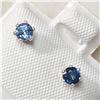 Image 3 : Silver Sapphire Earrings, Suggested Retail Value $100