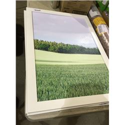 Framed Landscape Artwork