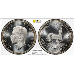 SOUTH AFRICA: George VI, 1936-1952, AR 5 shillings, 1950. PCGS PF67
