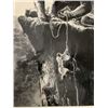 Image 2 : King Kong RKO Black and White Photo