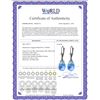 Image 2 : Genuine 20.5 ctw Blue Topaz Earrings 14KT Rose Gold - REF-36P8H