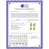 Image 2 : Genuine 4 ctw Peridot Earrings 14KT Yellow Gold - REF-53R2P