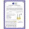 Image 2 : Genuine 4.65 ctw Citrine & Diamond Earrings 14KT Rose Gold - REF-36P2H