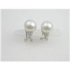 Image 1 : 18K Earrings SOUTH SEA PEARL w DIAMONDS (41936)