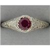 Image 1 : 14k White Gold Ruby Ring (40804)