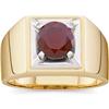 Image 1 : 14k Gold GENTS Ring GARNET (61921)