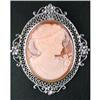 Image 1 : ANTIQUE STYLE CAMEO PIN/PENDANT! (61414)