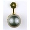 Image 1 : BLACK TAHITIAN PEARL 12MM (60615)