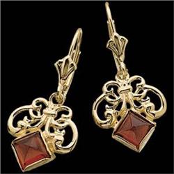14k Yellow Gold Garnet Earrings (58812)