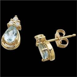 14k Yellow Gold Aquamarine Earrings (59006)
