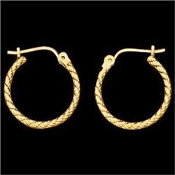 14k Yellow Gold Earrings (59144)