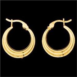 14k Yellow Gold Earrings (59145)