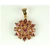 Image 1 : 14K GOLD PENDANT CLUSTER OF GARNETS (61624)