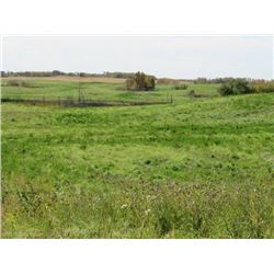 1/4 of of Prime Pasture