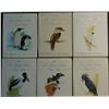 Image 1 : Australia Complete Set of Bird Proofs 1989 to 1994