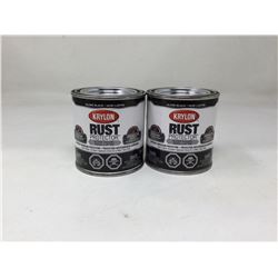 Krylon Rust Protector Gloss Enamel- Gloss Black (2 x 236ml)