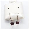 Image 1 : Silver Garnet Earrings, Suggested Retail Value $50