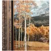 Image 8 : LARGE! One-Of-A-Kind Original Oil Painting by The Well-Known Artist Tim Cox
