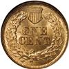 Image 2 : 1877 1C MS65 Red and Brown NGC. Richard Snow (2006) wr