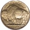 Image 2 : 1919-D 5C MS66 PCGS. The list of strikes against the a
