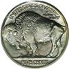 Image 2 : 1923 5C MS67 PCGS. Any coin graded MS67 will certainly
