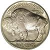 Image 2 : 1924 5C MS66 PCGS. Satiny and lustrous, with light sil