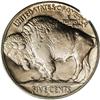 Image 2 : 1924-S 5C MS65 PCGS. Among Buffalo nickels from the 19
