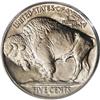 Image 2 : 1926-D 5C MS66 PCGS. The 1926-D is a better date in al