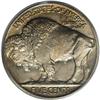 Image 2 : 1913 5C Type Two PR66 PCGS. Bright shimmering surfaces