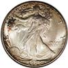 Image 1 : 1929-S 50C MS66 NGC. The 1929-S half dollar shows vari