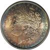 Image 1 : 1881 S$1 MS66 NGC. Deep crescents of cobalt-blue, ambe