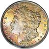 Image 1 : 1891-CC S$1 MS64 PCGS. The dense, elaborate toning ove