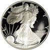 Image 1 : 1995-W S$1 Silver Eagle PR69 Deep Cameo NGC. The stunn