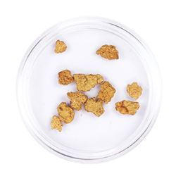 Lot of Gold Nuggets 2.97 grams Total Weight