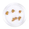 Image 2 : Lot of Gold Nuggets 2.74 grams Total Weight