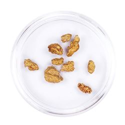 Lot of Gold Nuggets 4.23 grams Total Weight