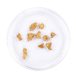Lot of Gold Nuggets 2.02 grams Total Weight