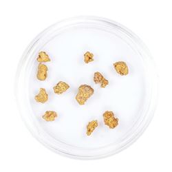 Lot of Gold Nuggets 2.31 grams Total Weight