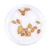 Image 1 : Lot of Gold Nuggets 3.91 grams Total Weight
