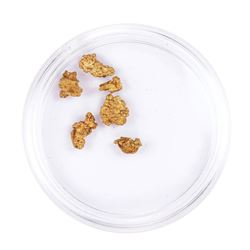 Lot of Gold Nuggets 2.15 grams Total Weight