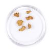 Image 2 : Lot of Gold Nuggets 2.15 grams Total Weight
