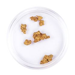Lot of Gold Nuggets 3.32 grams Total Weight